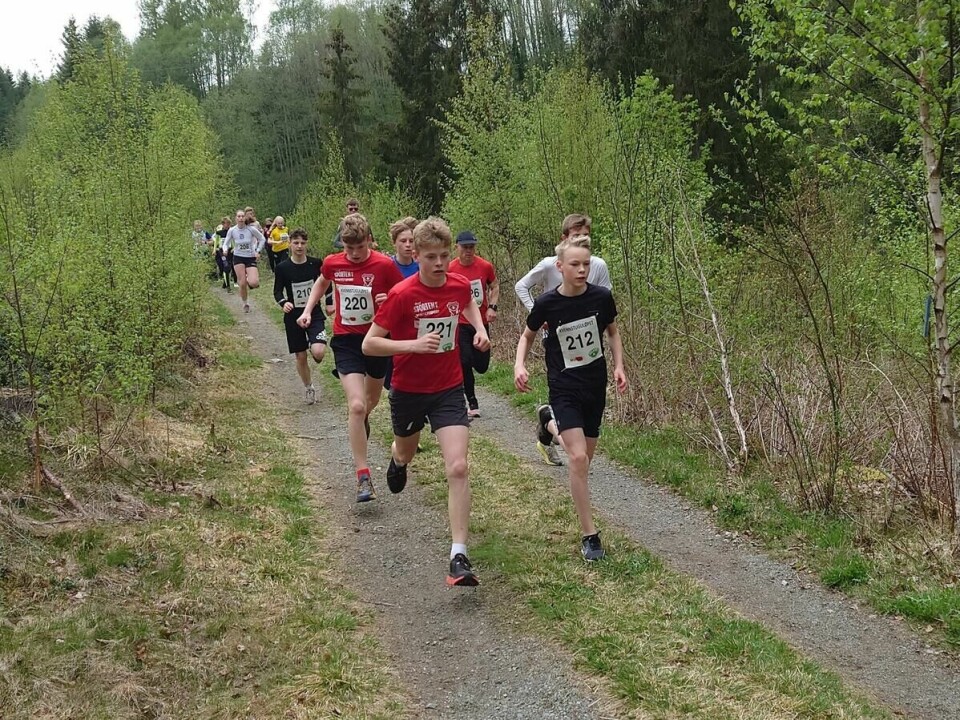 Kvennstugul¢pet (3)