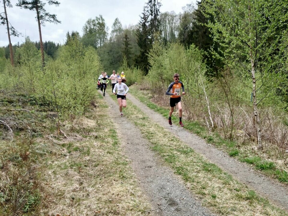 Kvennstugul¢pet (4)