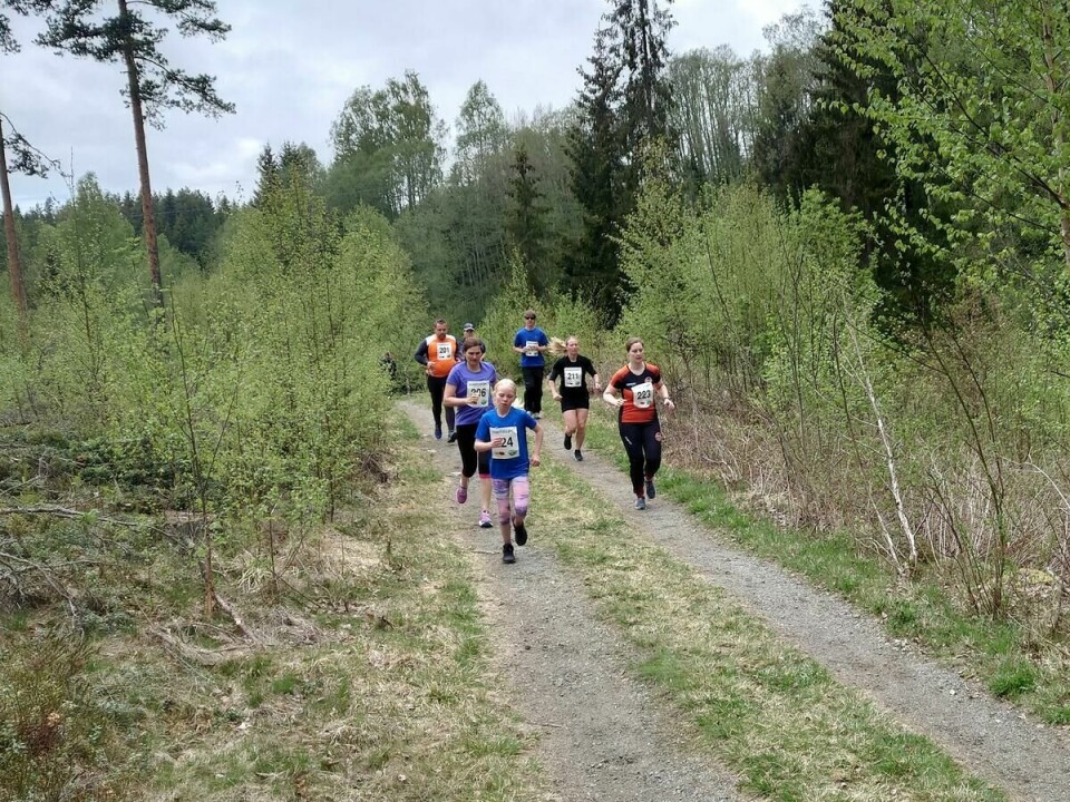 Kvennstugul¢pet (6)