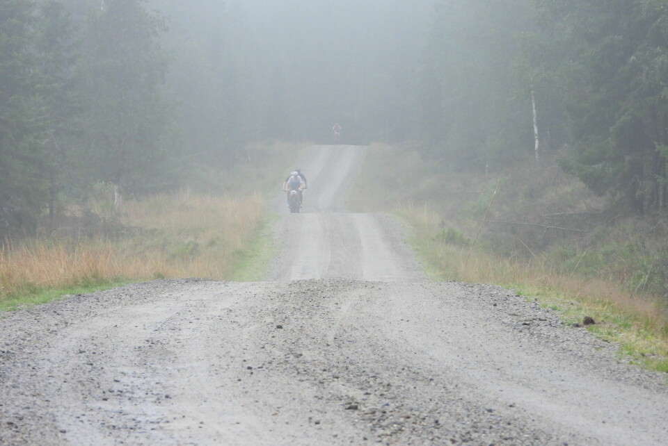 Tåke i “Vangsåsa”