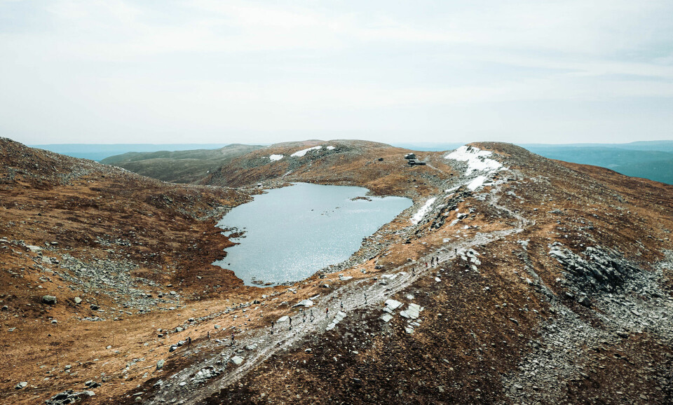 42K og 21K løperne på vei opp til høyeste punkt, Høgevarde 1459moh. (Foto: Léo Roussel)
