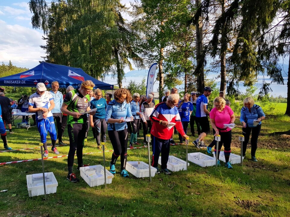 Bedrifts o-løp fra Helgøya klatrepark