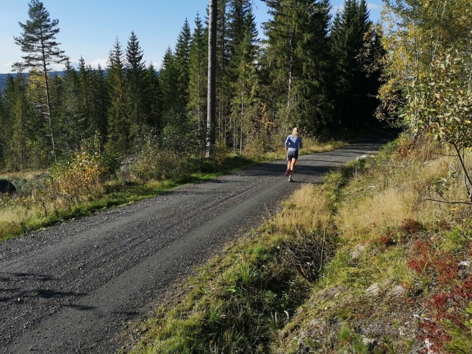 Kondis-karusellen i Elverum i hundre seks måneder på rad