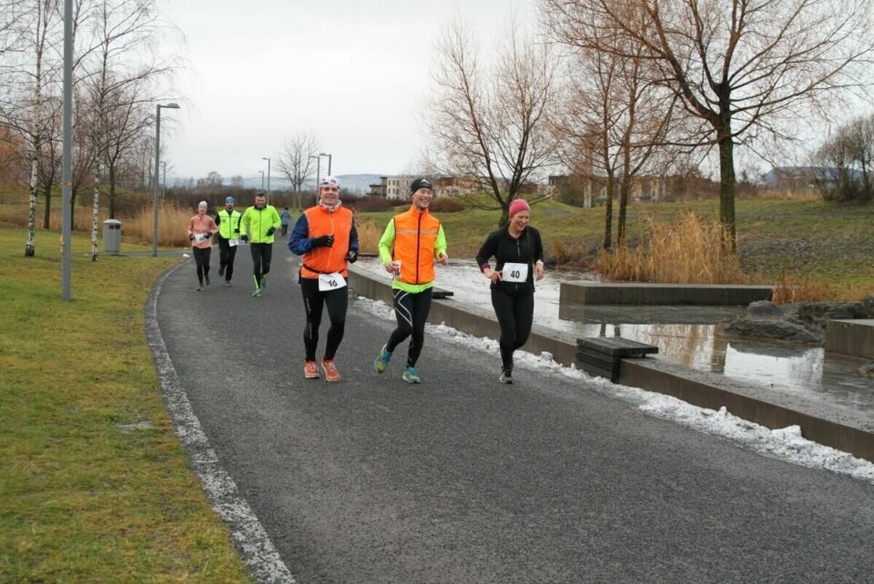 IMG_6745_Hovedfeltet (1280x853)