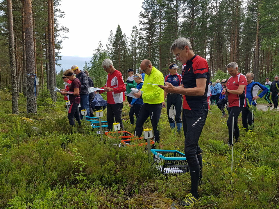 Bedrifts o-løp fra Flystripa i Mosjømarka i Løten