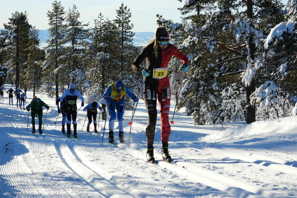 Maren Engeskaug Nielsen staker seg opp mot Stenfjellet.