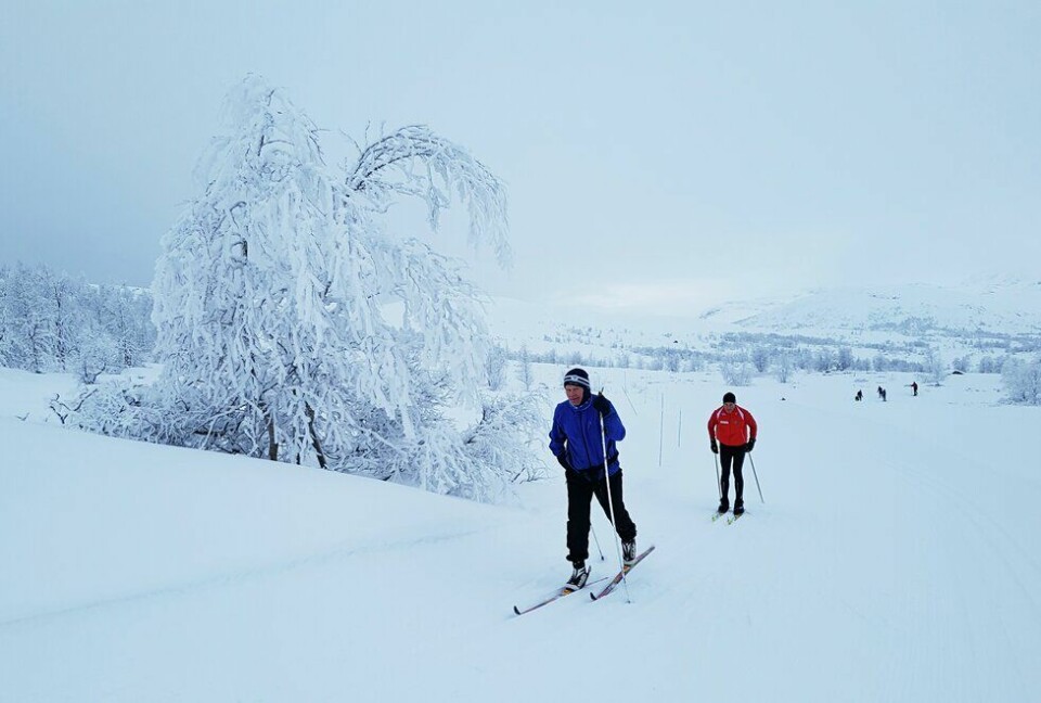 Idyllisk: I jula håper jeg å få både flere ski- og løpeturer. (Foto: Bjørn Johannessen) Beitostølen - langrenn - illustrasjonsbilder