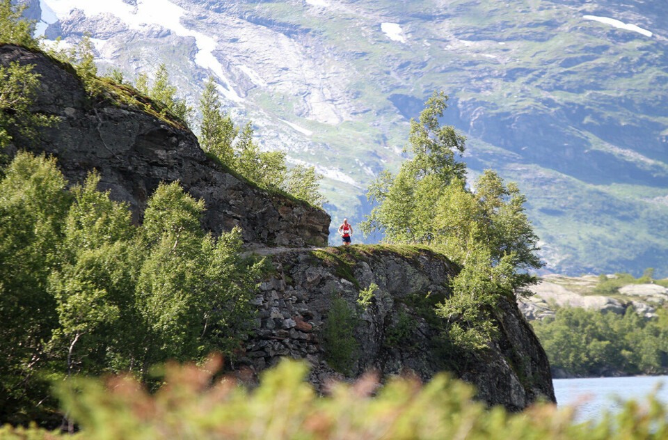 17 år med springing langs den eventyrlege Rallarvegen har gitt mange gode minne. (Foto: privat) 17 år med springing langs den eventyrlege Rallarvegen har gitt mange gode minne. (Foto: privat)