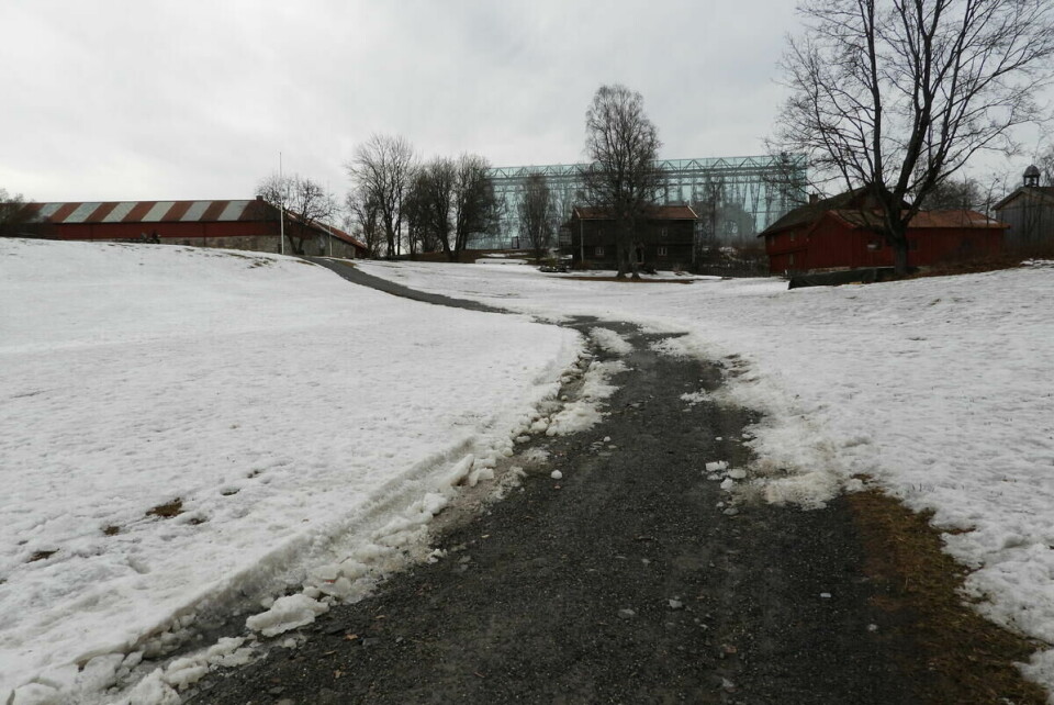 H3 Hamar HOKA Vårløp 10 km (1)