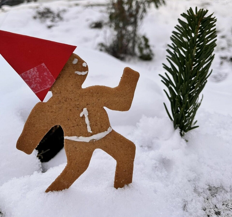 Sett av tid til både løping og pepperkaker i desember. (Foto fra Innlandet bedriftsidrettskrets' facebookside)