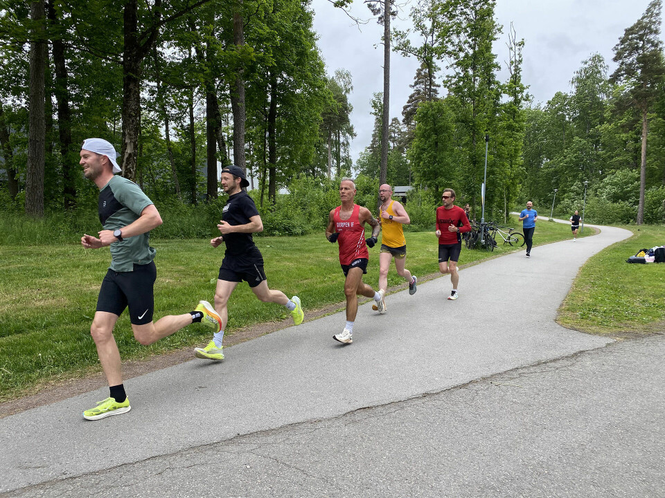 Tetgruppa. (Foto: Ingvild Pettersen-Ervik)