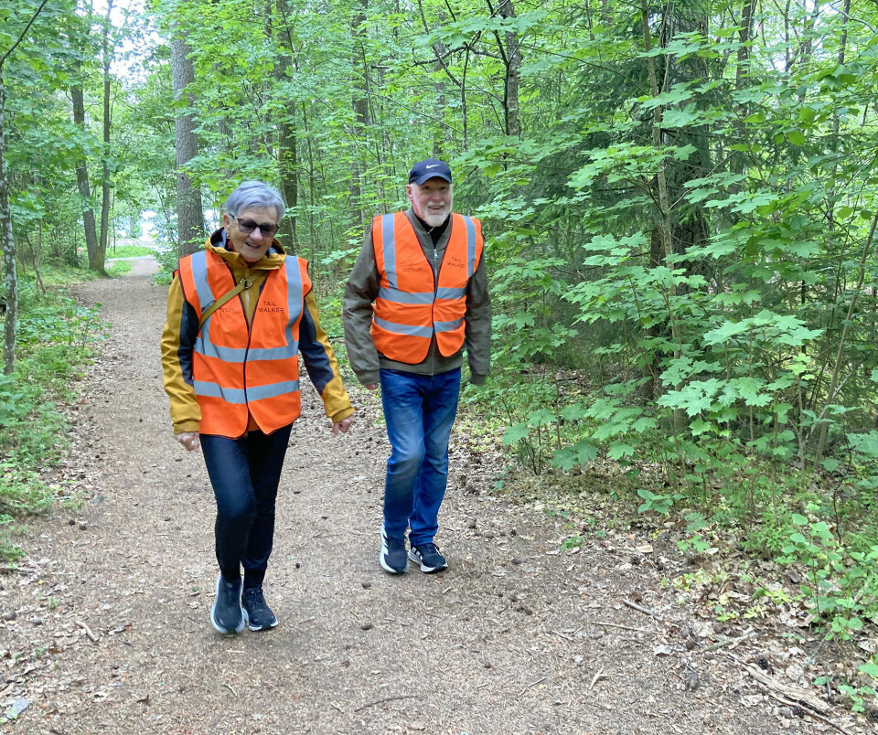 To frivillige «Tail Walkers» går bakerst slik at ingen deltakere kommer sist. (Foto: Stein Pettersen-Ervik)
