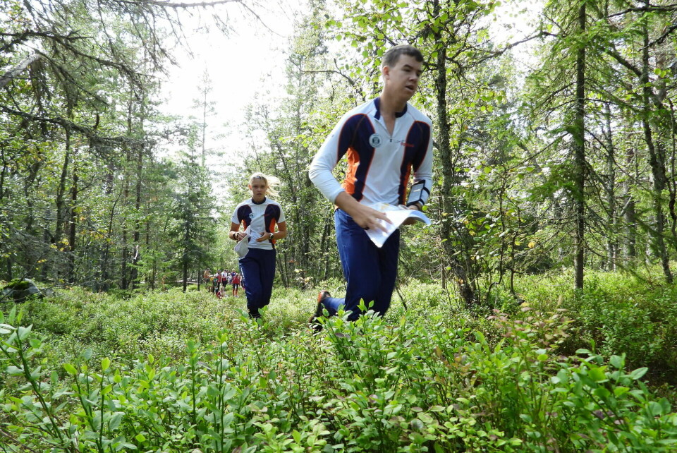 KM langdistanse for Innlandet o-krets fra Gåsbu i Vangsåsen
