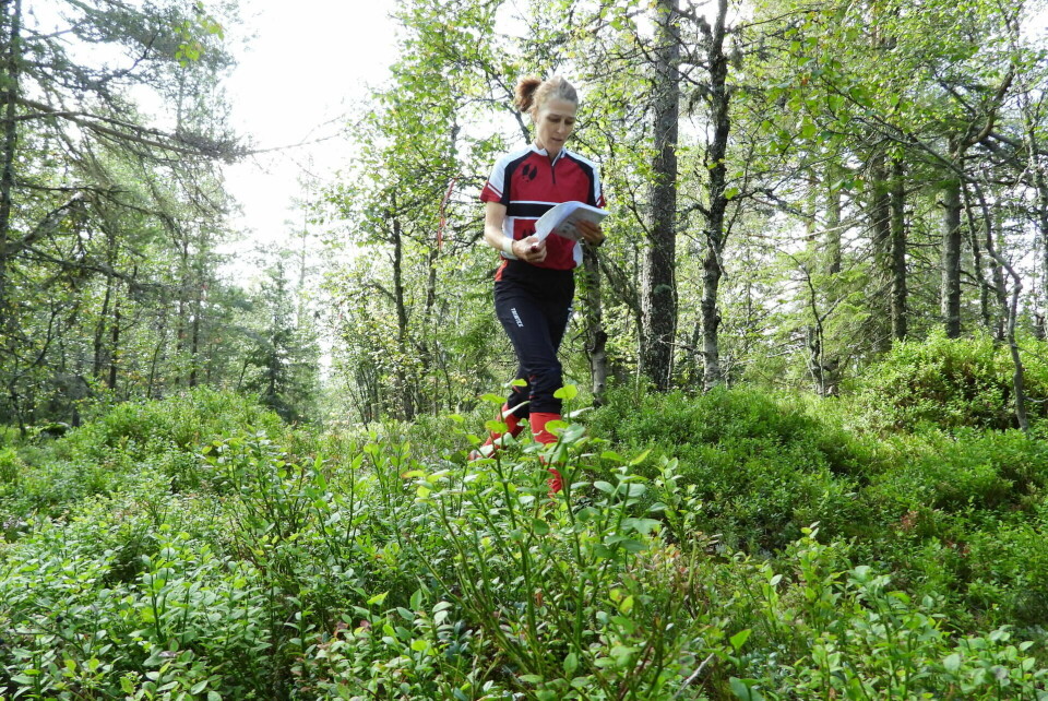 KM langdistanse for Innlandet o-krets fra Gåsbu i Vangsåsen
