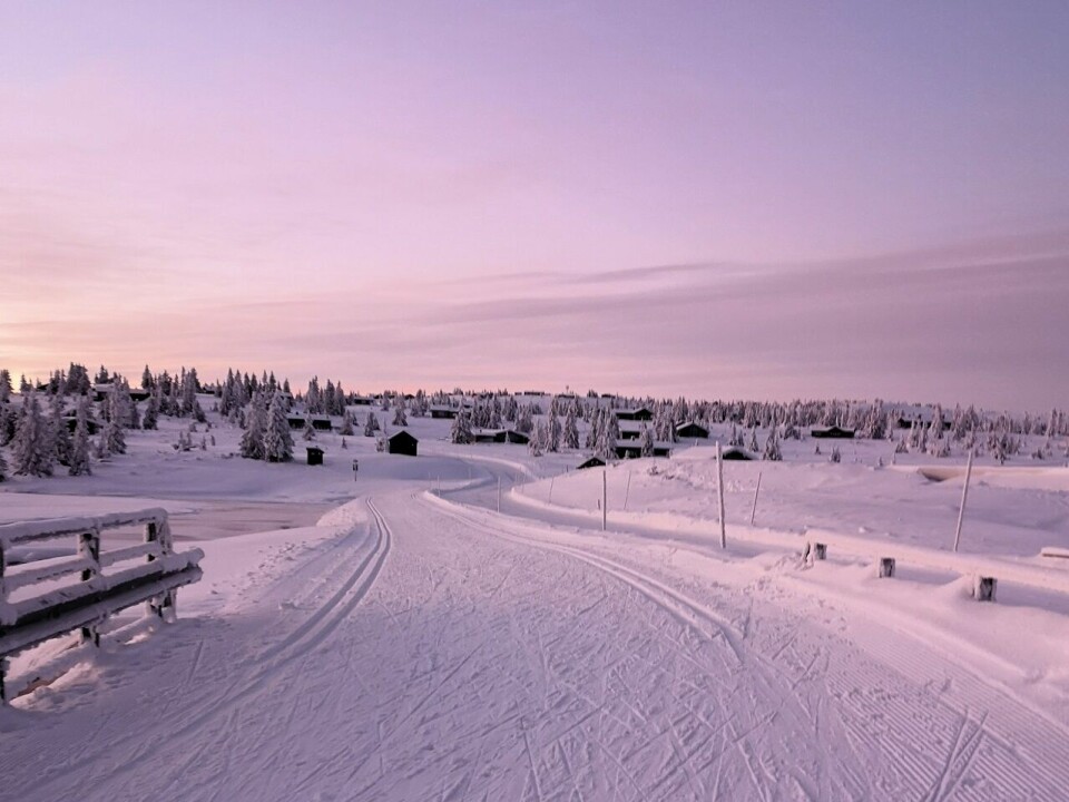 Den viktige og vanskelige restitusjonen