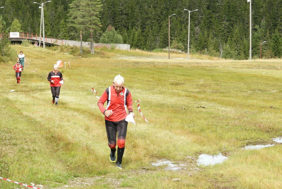 KM langdistanse for Innlandet o-krets fra Gåsbu i Vangsåsen