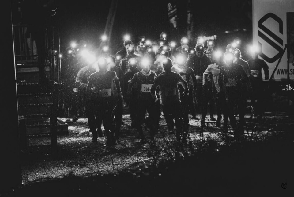 2019-11-14_1929_0719-Kondis