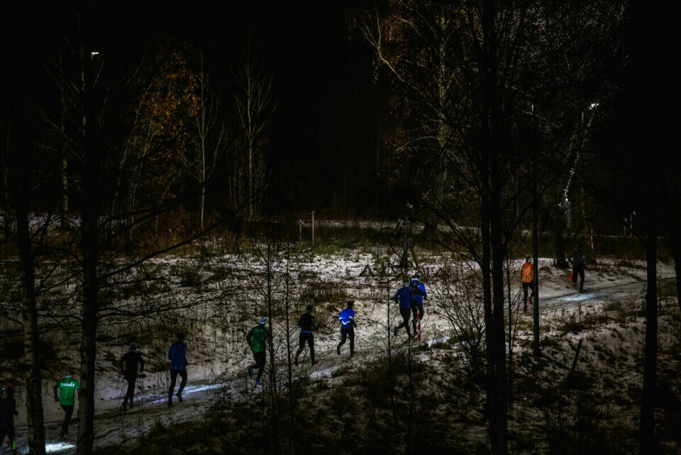 2019-11-14_1931_0782-Kondis