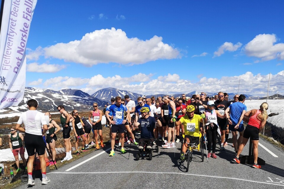 I fjor kom det 470 til start på halvmaraton, inkl. to rullende. I år blir det nesten dobbelt så mange. (Foto: Rolf Bakken)