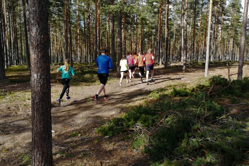 Gaa-joggen_Stavaasen (2)