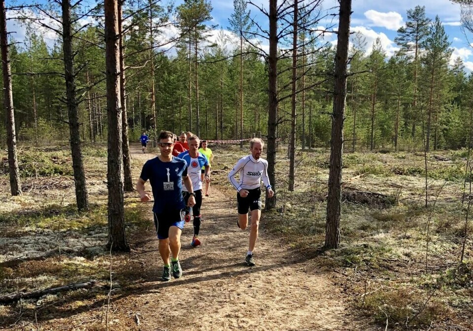 Gaa-joggen_Stavaasen (4)