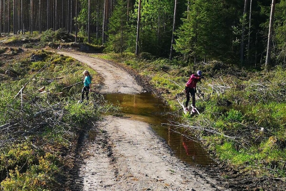 Gaa-joggen_Stavaasen (7)