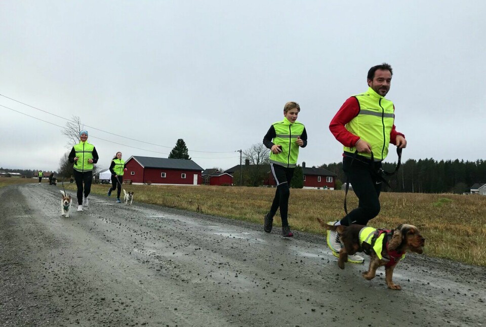 Refleks øker sikkerheten betraktelig når man beveger seg ute i kveldsmørket. (Foto: Marianne Røhme) Refleks øker sikkerheten betraktelig når man beveger seg ute i kveldsmørket. (Foto: Marianne Røhme)