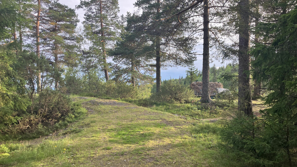 Målgang på Solgløtt utkikkspunkt. (Foto: arrangøren)