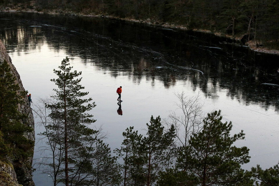 Nipetjørn i Bergen er her scenen for en stor naturopplevelse med skøyter på beina. (Foto: Arne Dag Myking. Klikk for større oppløsning) Nipetjørna.jpg
