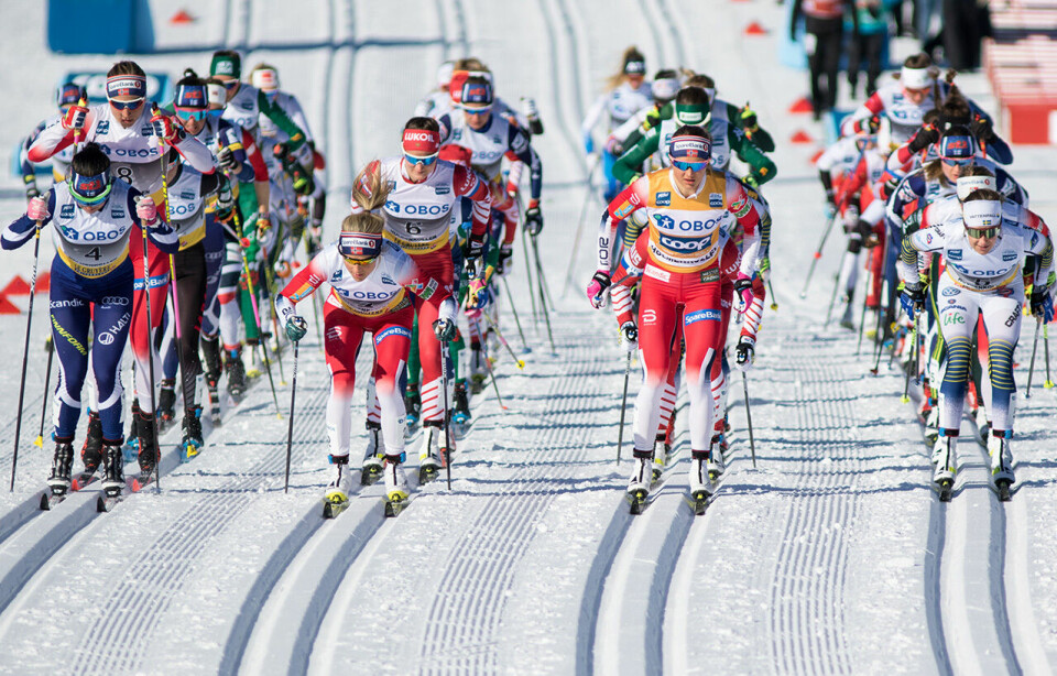 Er det ei krise for norsk langrenn at det i vinter stort sett har vori færre kvinner i raud drakt å sjå langt framme i feltet enn det det var da dette biletet vart teki i 2019? (Foto: Sylvain Cavatz) Er det ei krise for norsk langrenn at det i vinter stort sett har vori færre kvinner i raud drakt å sjå langt framme i feltet enn det det var da dette biletet vart teki i 2019? (Foto: Sylvain Cavatz)