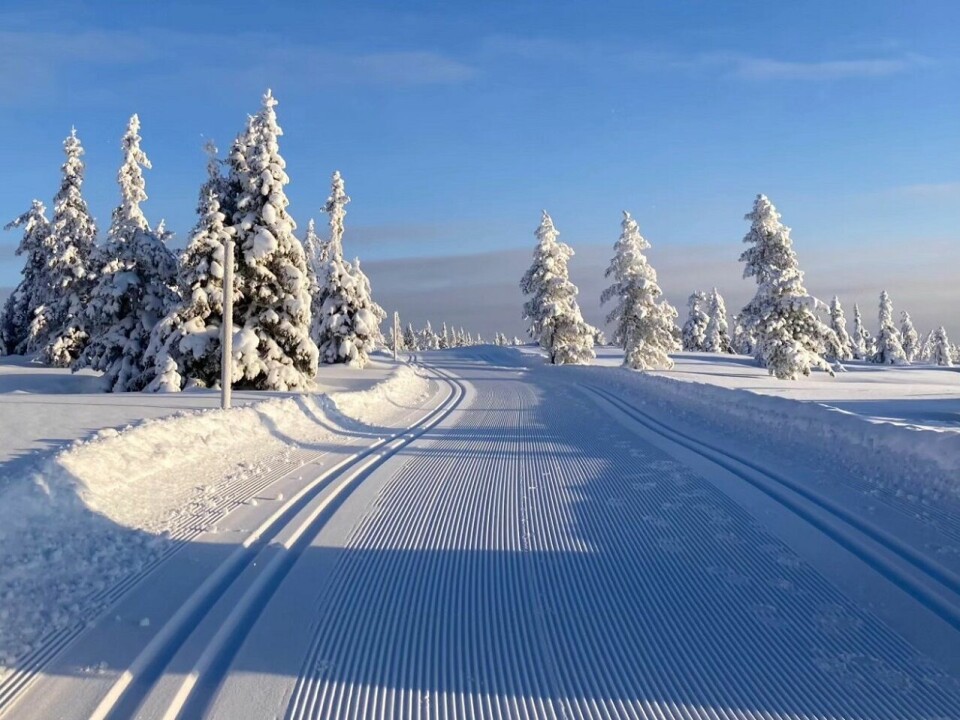 Winter wonderland i Budorrennet