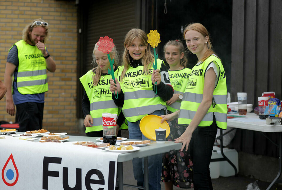 Unge medhjelpere med fluesmekker