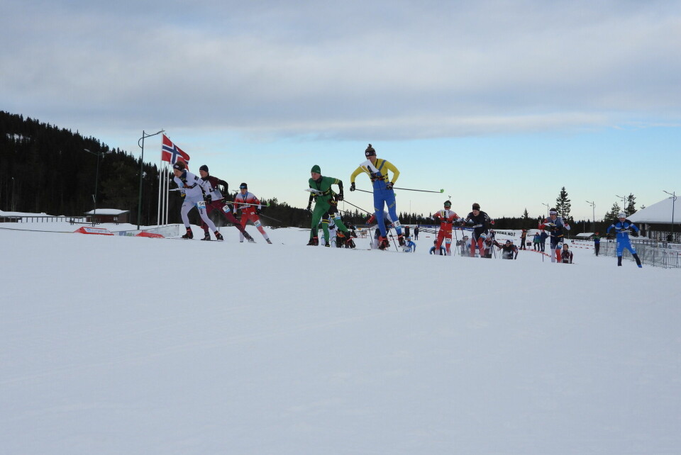 Lierbygda OL og Konnerud IL vant stafettene i ski-O NM på Lygna