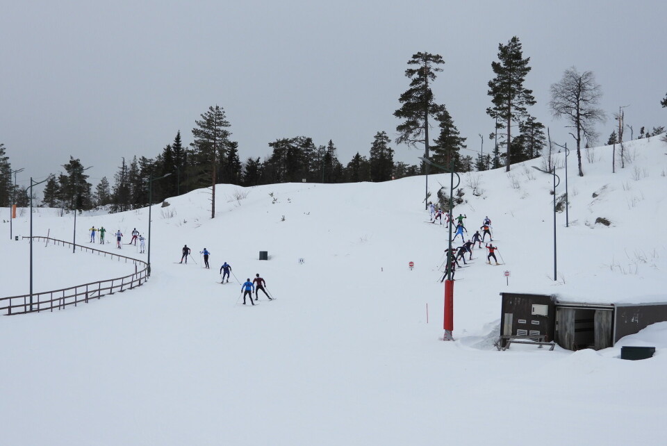 Lierbygda OL og Konnerud IL vant stafettene i ski-O NM på Lygna