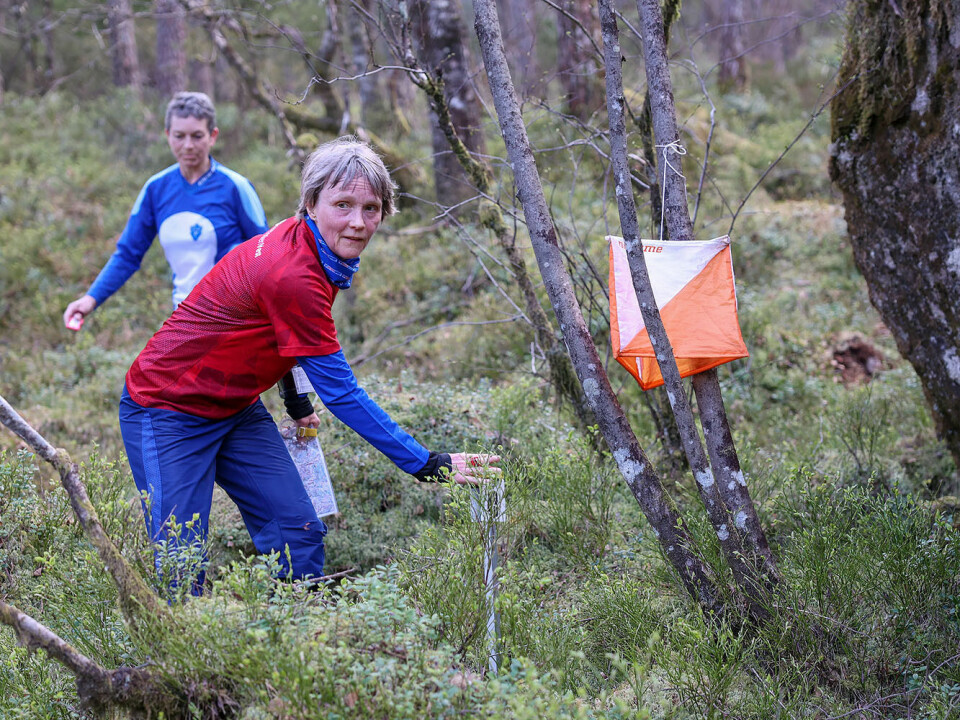 Her fra et av løpene i april i fjor. Vigdis Houmb har funnet den rette posten. (Foto: Arne Dag Myking)