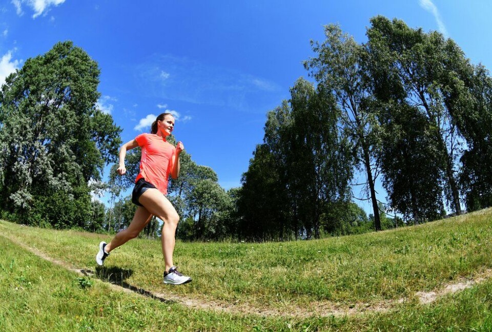 Illustrasjonsfoto. (Foto: Bjørn Johannessen) Yngvild Elvemo