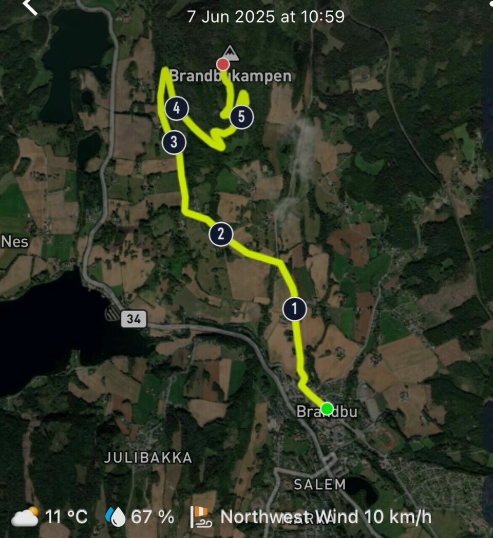 Løypen i Brandbukampen Opp.