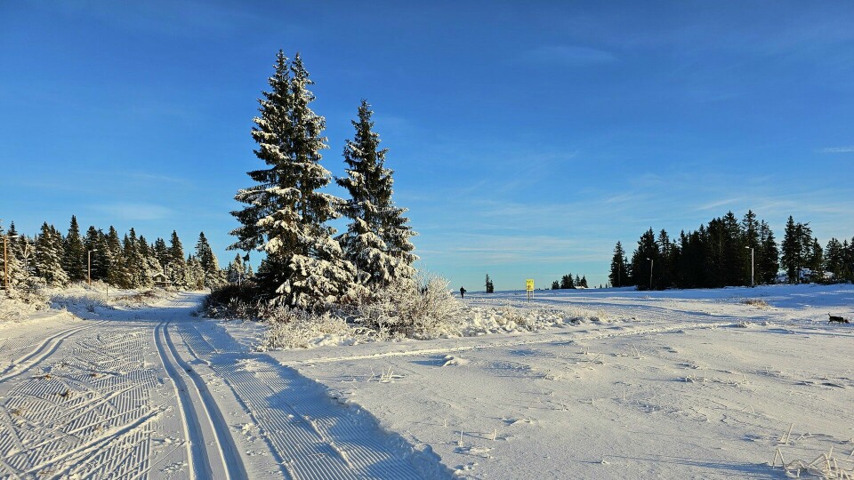 Det blir i vinter arrangert skikarusell i Tromsø denne vinteren også. (Illustrasjonsfoto: Bjørn Johannessen) Vinterlandskap - skiløyper - Sjusjøen - illustrasjonsbilder