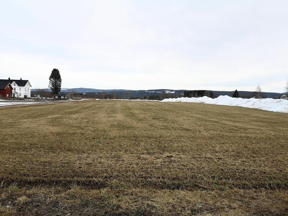 Strøkent parkeringsområde for bussene på Tingstadjordet. (Foto: Rolf Bakken)