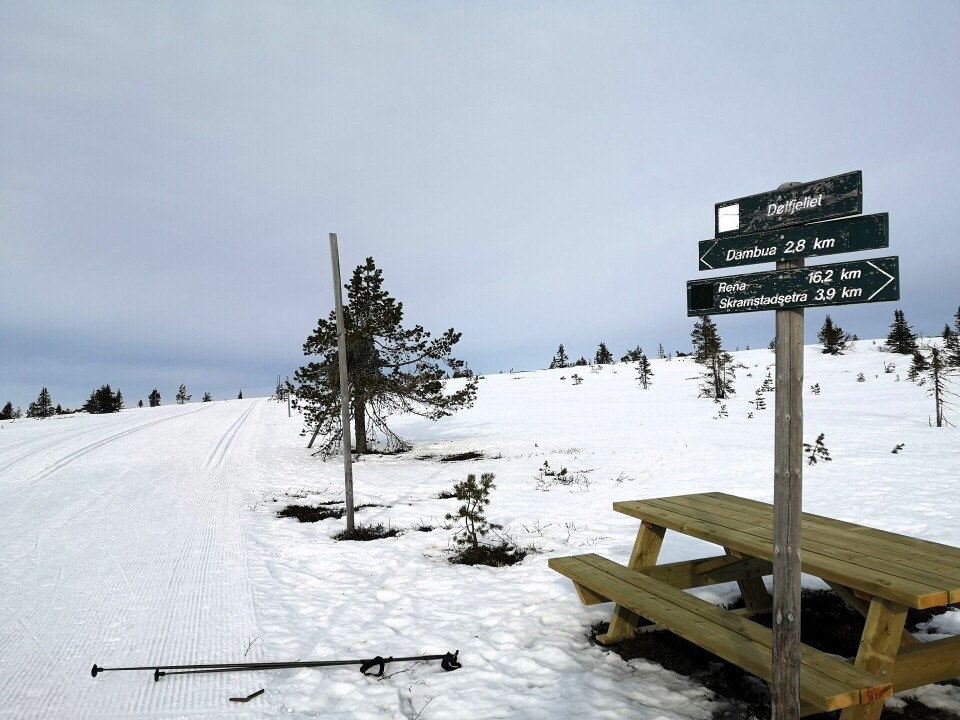 Det er lite - men nok - snø også på toppene som her på Dølfjellet. (Foto: Rolf Bakken)