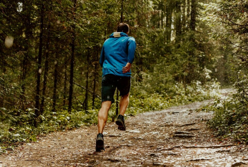 Løping i skogen gir gode muligheter for en variert og fin fartslek-økt. (Foto: Canva)