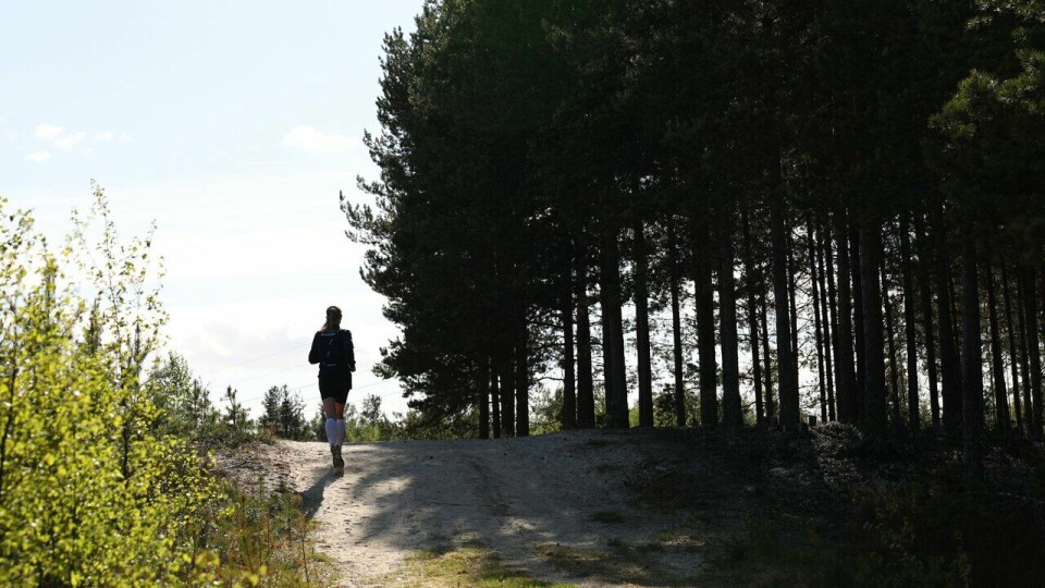 Utetrening: Det å løpe ute gir i tillegg til trening en god naturopplevelse. (Foto: Marianne Røhme / Kondis © Kondis) Line Viola Hvammen er Kondistrener på Kondistreninga Elverum