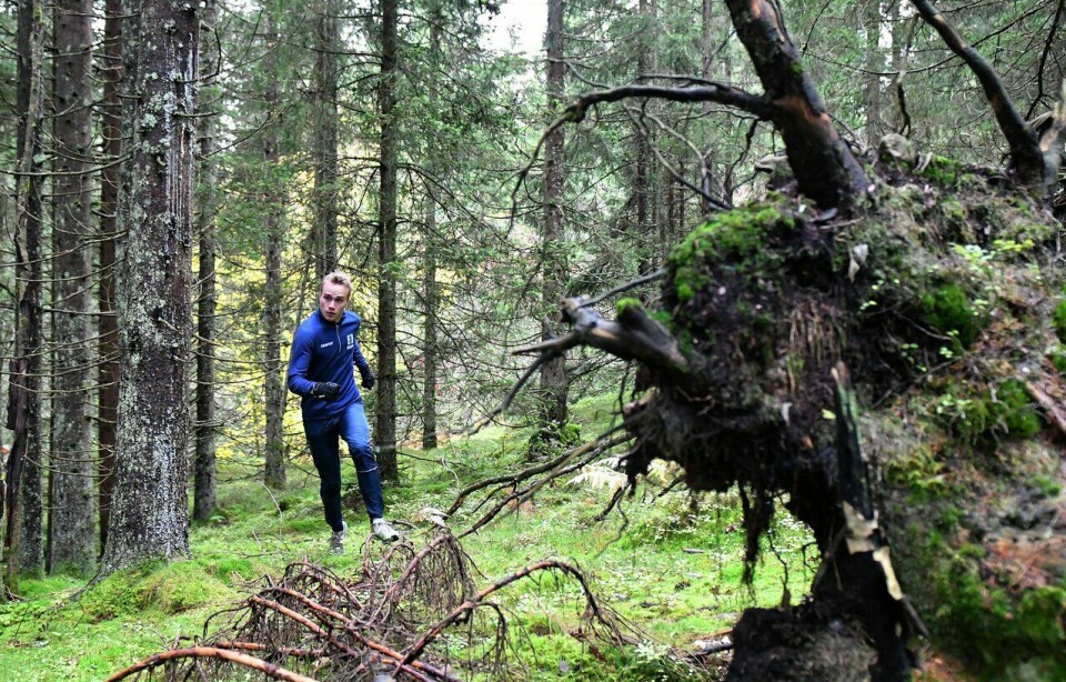 Trening i skogen:VM i orientering arrangerers annethvert år i skogen og som gatesprint. I forberedelsene til skogs-VM gjelder det å løpe mange timer i skogen. Dette blir en annen type trening enn det blir mot sprint som går på hardt underlag i byene og har en konkurransetid rundt 15 minutter. Når man trener mot en sesong med sprint-VM, så ligner treningen mer på trening for friidrett. (Foto: Bjørn Johannessen) Trening i skogen: VM i orientering arrangerers annethvert år i skogen og som gatesprint. I forberedelsene til skogs-VM gjelder det å løpe mange timer i skogen. Dette blir en annen type trening enn det blir mot sprint som går på hardt underlag i byene og har en konkurransetid rundt 15 minutter. Når man trener mot en sesong med sprint-VM, så ligner treningen mer på trening for friidrett. (Foto: Bjørn Johannessen)