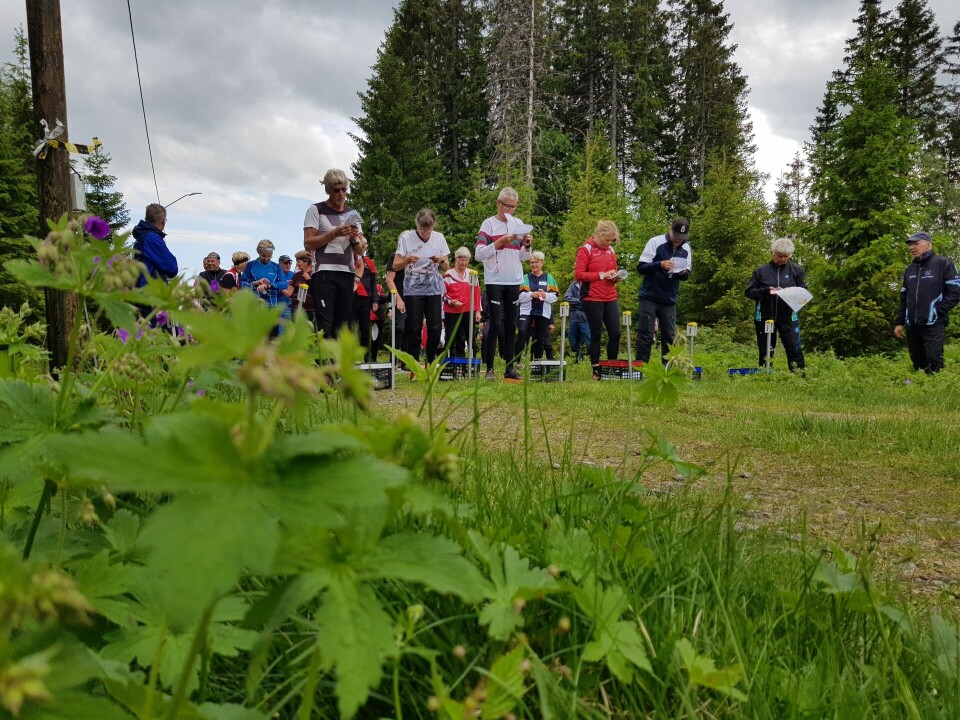 Bedrifts o-løp i kald vind fra Veldre sag