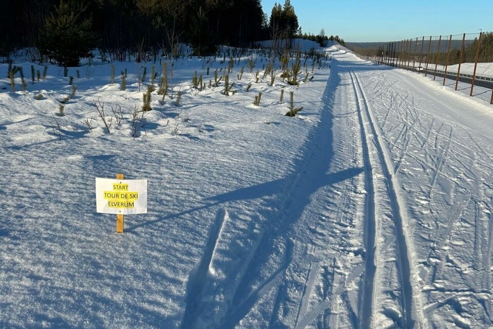 Fra starten på 3. etappe i fristil som gikk langs riksvei 3 og opp i Grundsetmarka. (Foto Kjetil Finstad)