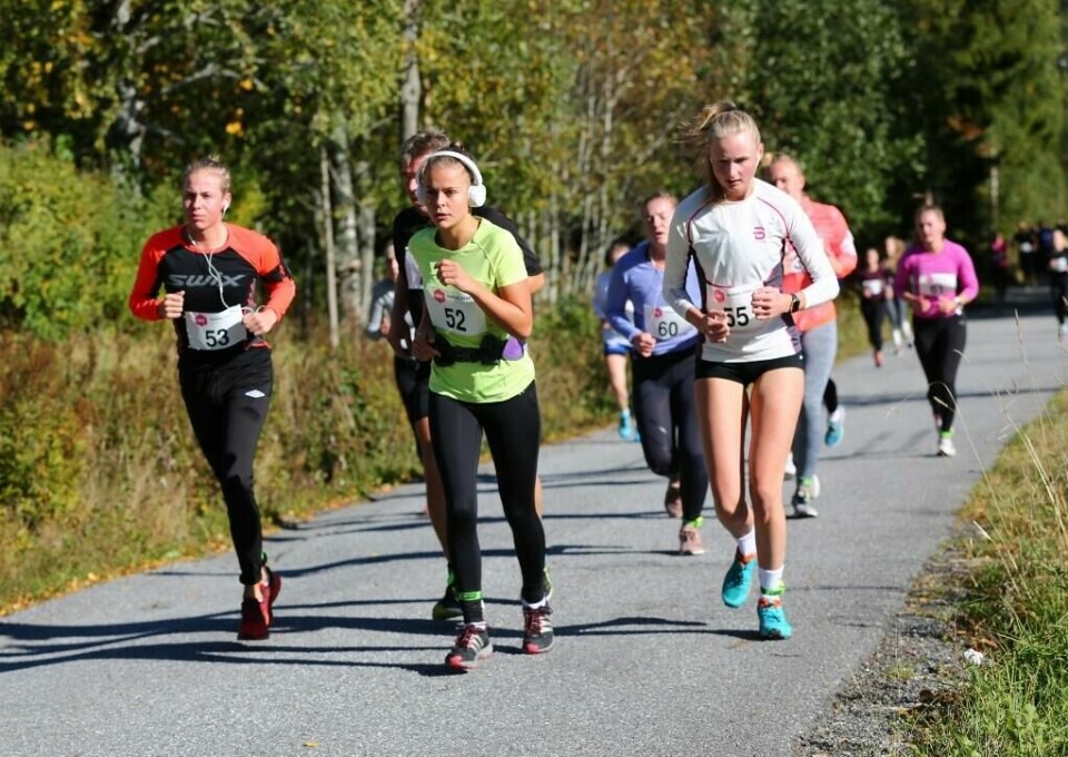 Rognstadkollen Opp 2018 - 10 (1024x724)