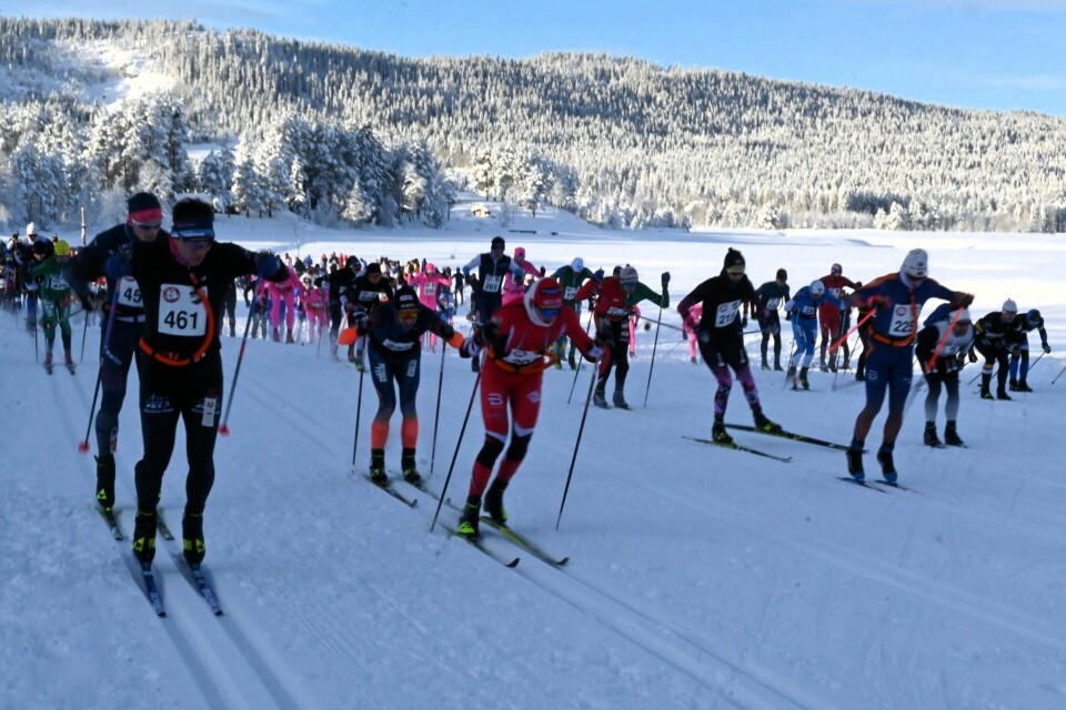 Lene Ådlandsvik og Henrik Olimb best i Trysil-Knut rennet