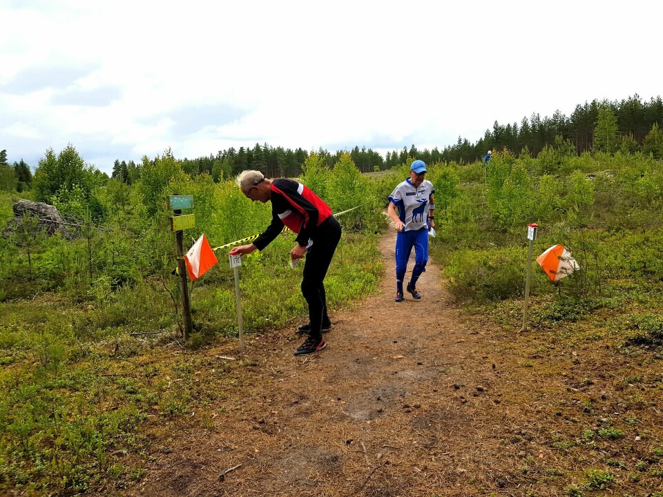 Johansson og Bordal vant KM mellomdistanse i Heradsbygda