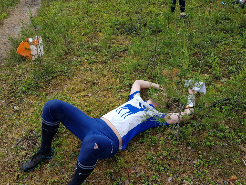 Johansson og Bordal vant KM mellomdistanse i Heradsbygda