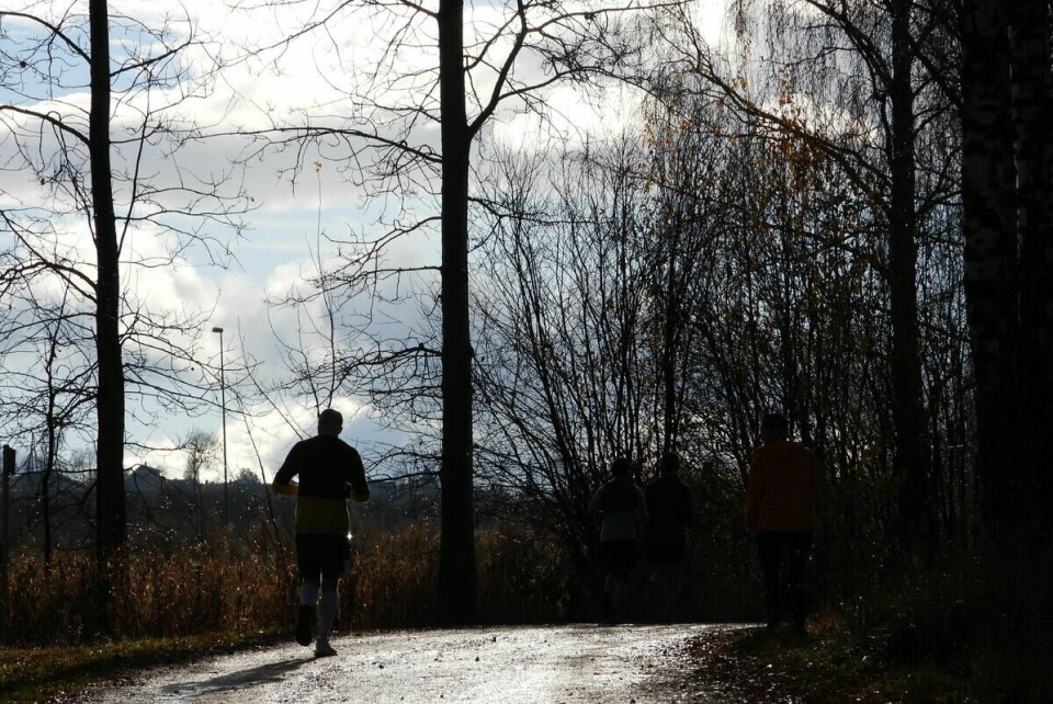 Ottestad Rundt (42)